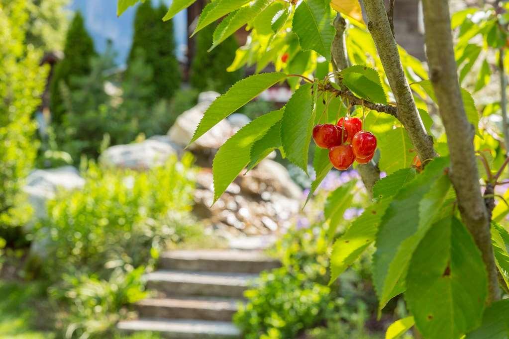 Chalet-Hotel Hermitage Σαμονί Εξωτερικό φωτογραφία